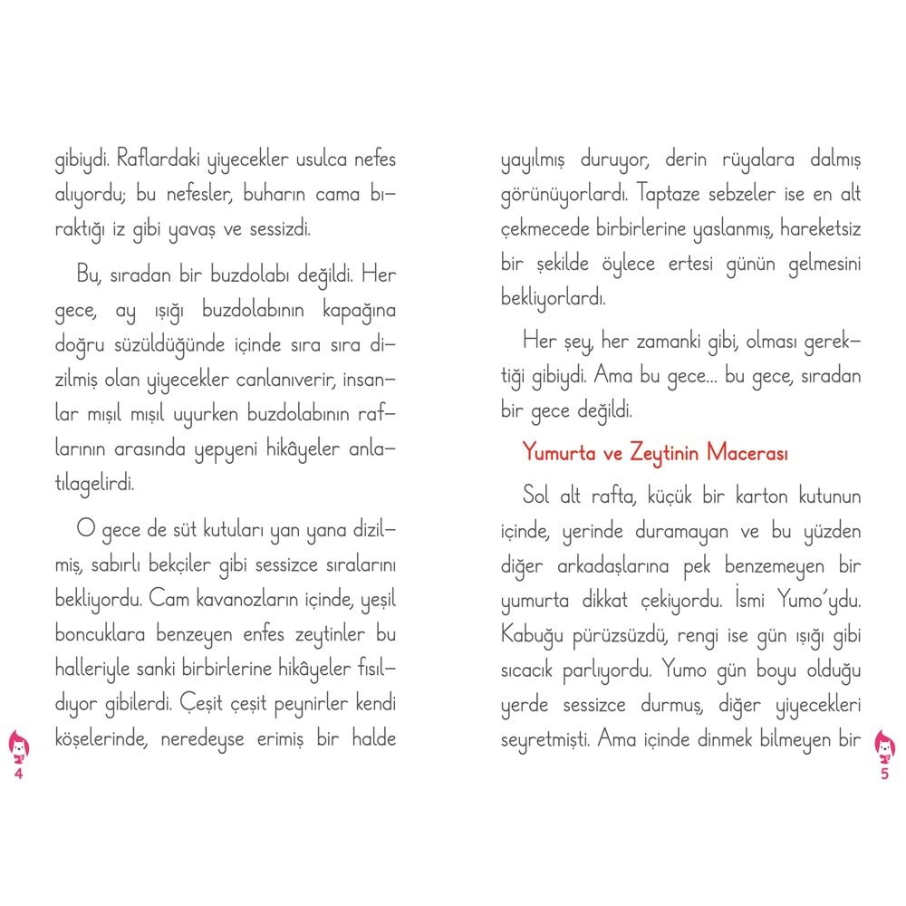 2. Sınıf , 3. sınıf Hikâye Kitaplarımız + Hikaye Özet Defterim